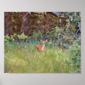 Baby-reekskalf in het wild in Texas Poster (Voorkant)