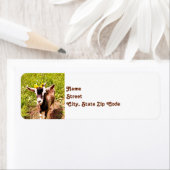 Baby Retouradreslabels voor geiten Etiket (Insitu)