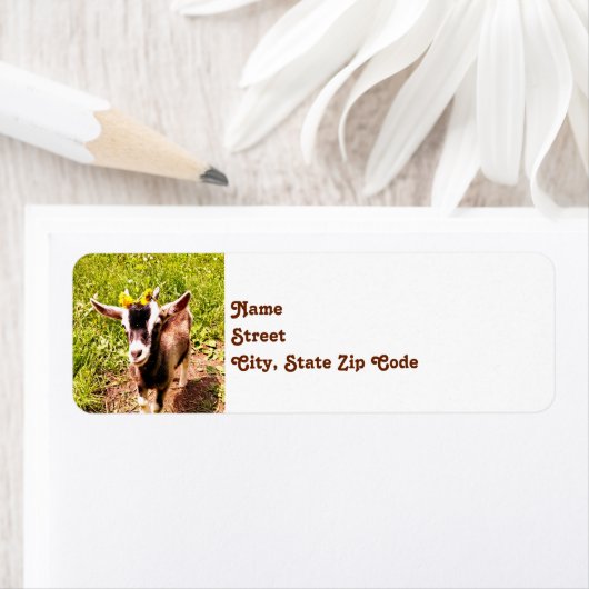 Baby Retouradreslabels voor geiten Etiket (Insitu)