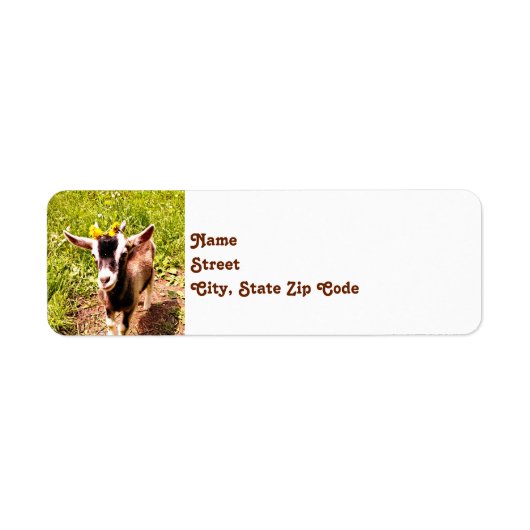 Baby Retouradreslabels voor geiten Etiket (Voorkant)