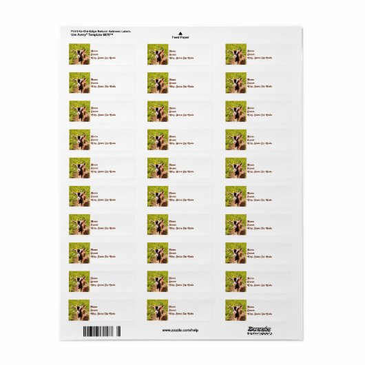 Baby Retouradreslabels voor geiten Etiket (Full Sheet)