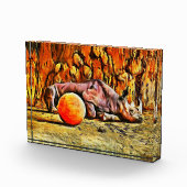 Baby Rhino Acrylblok Fotoblokken (Rechts)