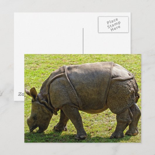 Baby Rhino Briefkaart (Voorkant / Achterkant)