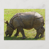 Baby Rhino Briefkaart (Voorkant)