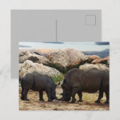 Baby Rhinoceros Life Lesson Feestdagenkaart (Voorkant / Achterkant)