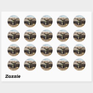 Baby Rhinoceros Life Lesson Ronde Sticker