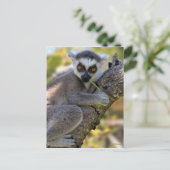 Baby Ring Tailed Lemur Briefkaart (Staand voorkant)
