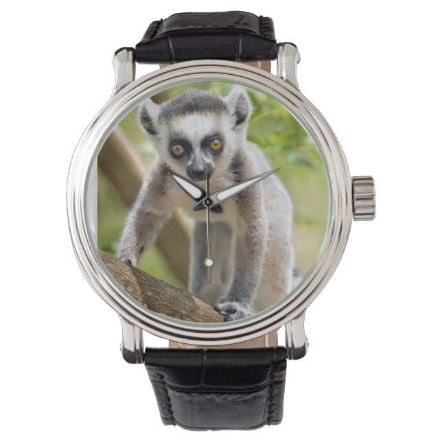 Baby ringstaartmaki horloge (Voorkant)
