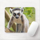 Baby ringstaartmaki muismat (Met muis)