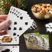 Baby ringstaartmaki pokerkaarten (Insitu)