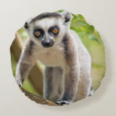 Baby ringstaartmaki rond kussen (Achterkant)