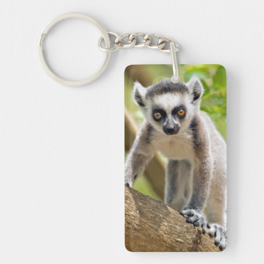 Baby ringstaartmaki sleutelhanger (Voorkant)