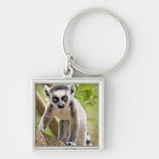 Baby ringstaartmaki sleutelhanger (Voorkant)