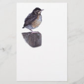 baby robin briefpapier (Voorkant)