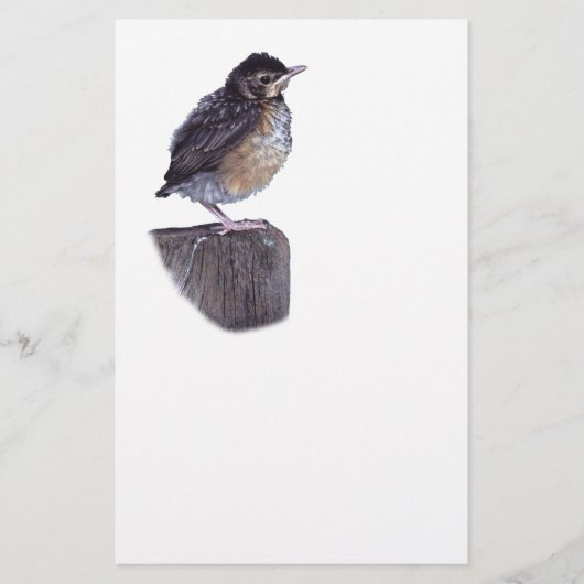 baby robin briefpapier (Voorkant)