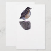 baby robin briefpapier (Voorkant / Achterkant)