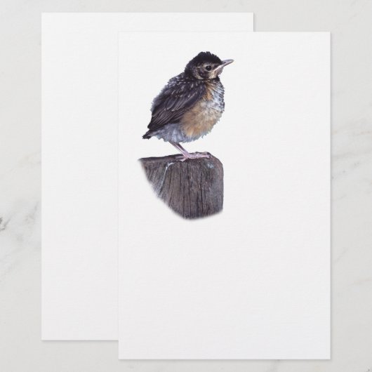baby robin briefpapier (Voorkant / Achterkant)