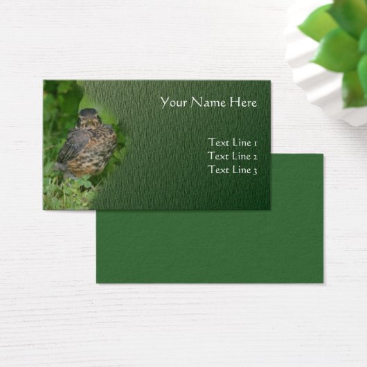 Baby Robin Fledgling Bird Animal Natuur Visitekaartjes (Bureau)
