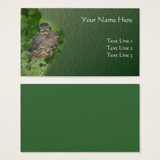 Baby Robin Fledgling Bird Animal Natuur Visitekaartjes (Voorkant /achterkant)