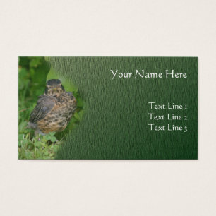 Baby Robin Fledgling Bird Animal Natuur Visitekaartjes