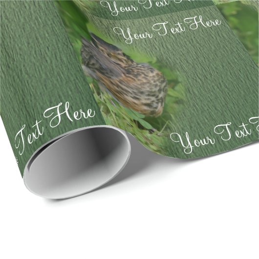 Baby Robin Fledgling Bird Natuur Cadeaupapier (Rol Hoek)