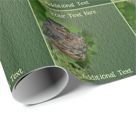 Baby Robin Fledgling Bird Natuur gepersonaliseerd Cadeaupapier (Rol Hoek)