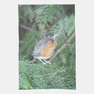 Baby Robin Handdoek