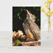 Baby Robin Kaart (Gele Bloem)