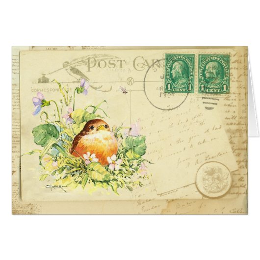 Baby Robin met Violets Briefkaart (Voorkant Horizontaal)