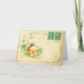 Baby Robin met Violets Card Kaart (Voorkant)