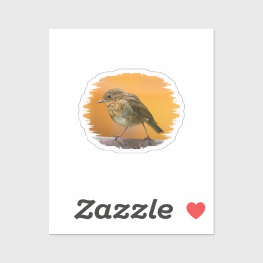 Baby Robin op een boomtak Sticker (Vel)