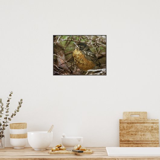Baby Robin Poster (Keuken)
