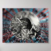 Baby Robin Poster (Voorkant)