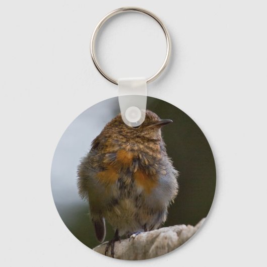 Baby Robin Sleutelhanger (Voorkant)