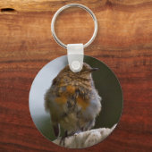 Baby Robin Sleutelhanger (Voorkant)