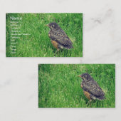Baby Robin Visitekaartje (Voorkant / Achterkant)
