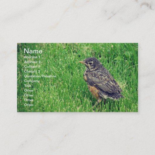 Baby Robin Visitekaartje (Voorkant)