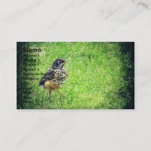 Baby Robin Visitekaartje (Voorkant)