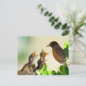 Baby Robins Briefkaart (Staand voorkant)