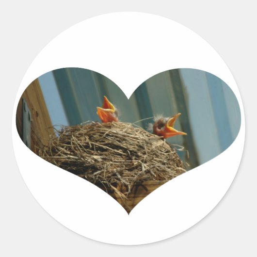 Baby Robins Hart Sticker (Voorkant)