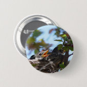 Baby Robins in de Nest Button (Voorkant /achterkant)