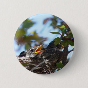 Baby Robins in de Nest Button
