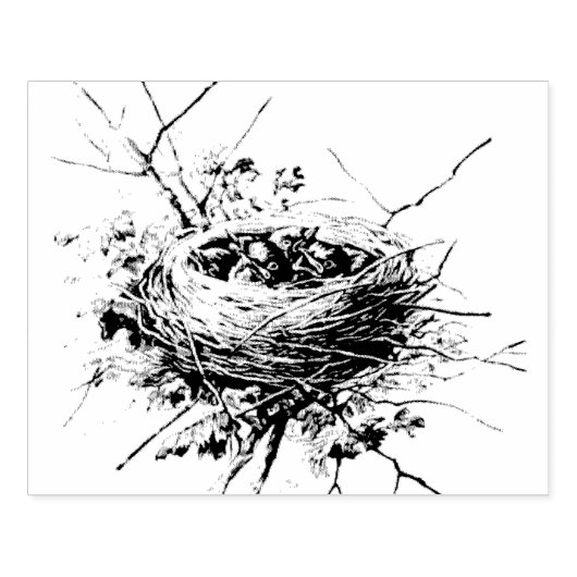 Baby Robins Nest Rubberstempel (Afrduk)