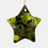 Baby Roccoon Keramisch Ornament (Rechts)