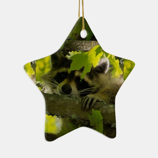 Baby Roccoon Keramisch Ornament (Rechts)