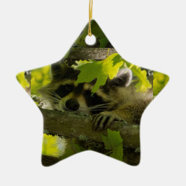Baby Roccoon Keramisch Ornament