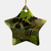 Baby Roccoon Keramisch Ornament (Achterkant)