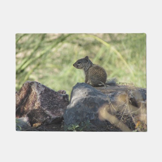 Baby Rock Squirrel Deurmat (Voorkant)