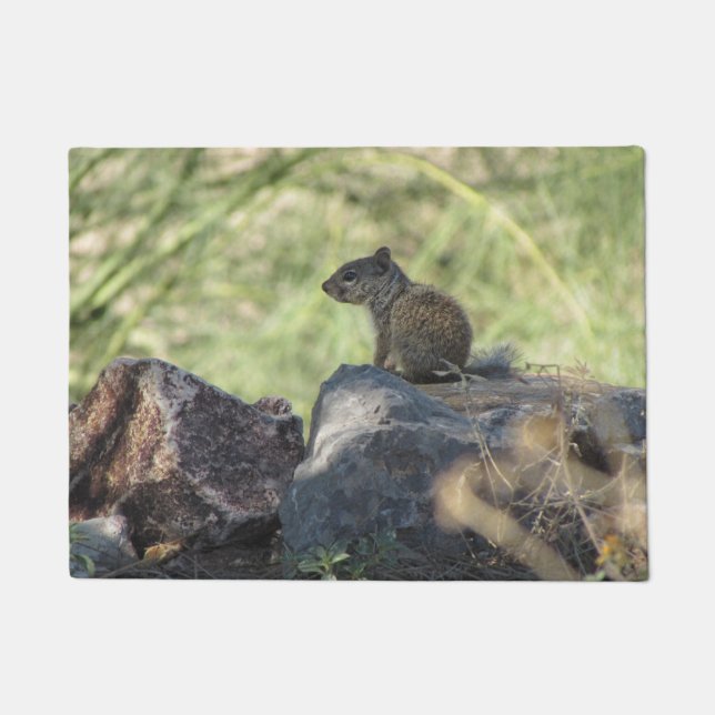 Baby Rock Squirrel Deurmat (Voorkant)