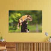 Baby rode eekhoorn canvas afdruk (Insitu (Woonkamer))
